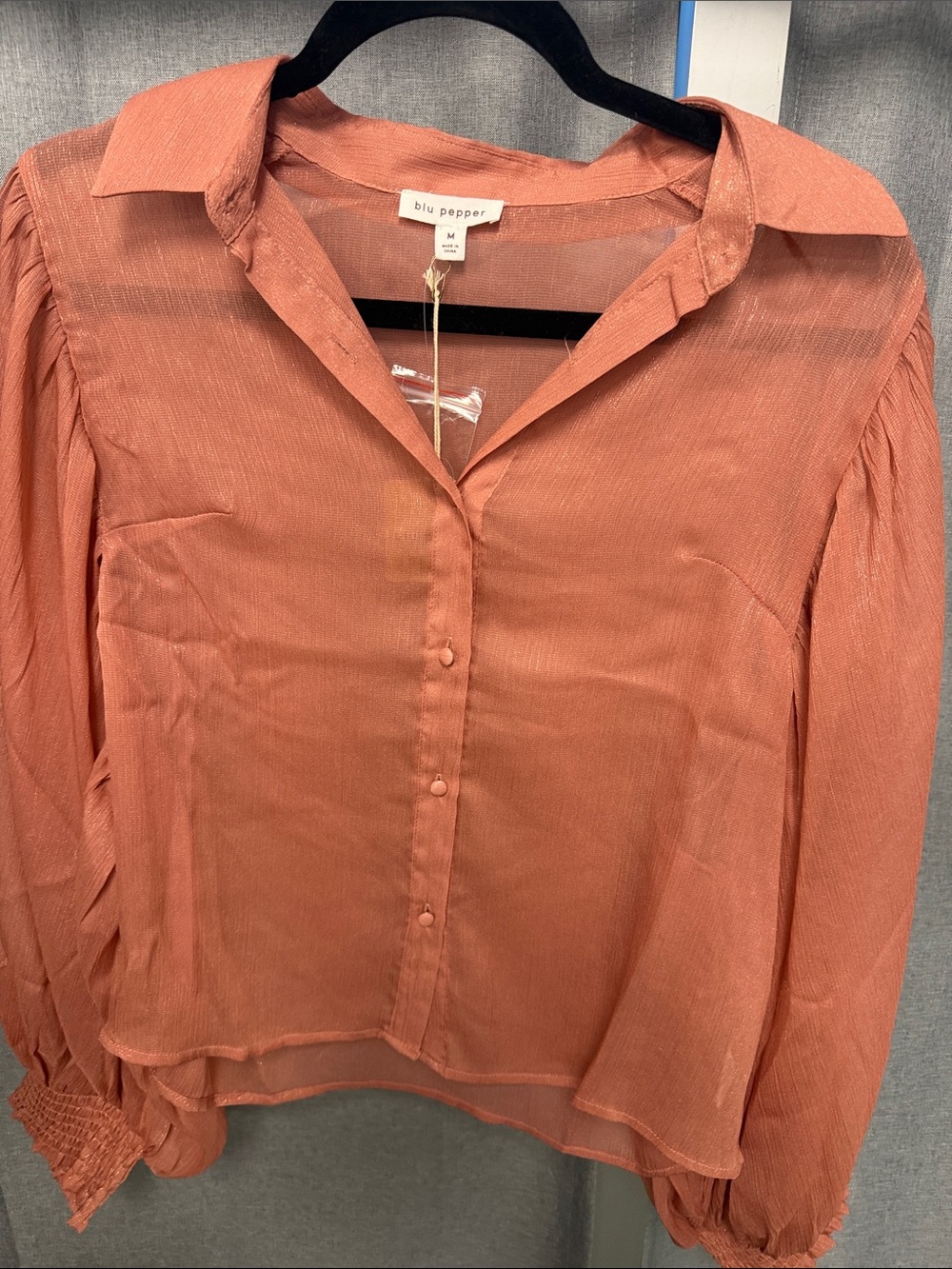 Blu Pepper Coral Rust Sheer Button-Front Blouse
